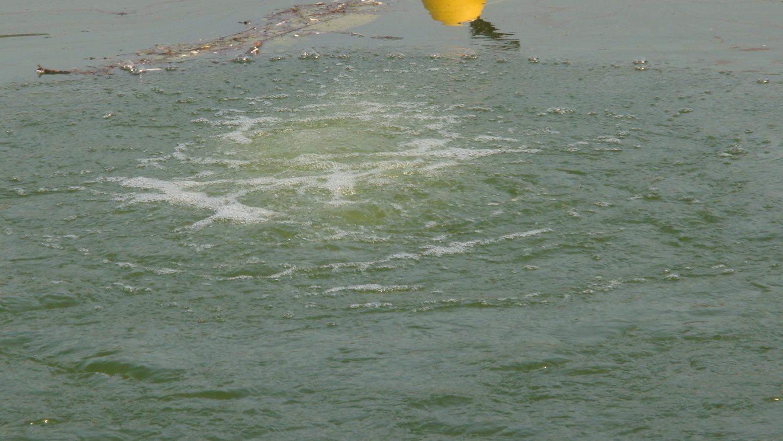 Pond Aeration System (Destratification System) – IGS Water Solutions