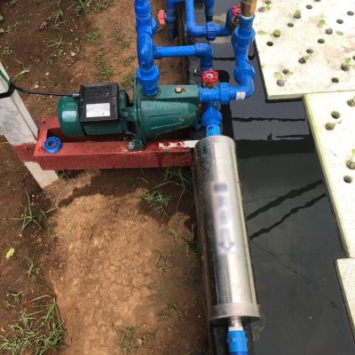 nanobubble-used-at-hydroponics (1)